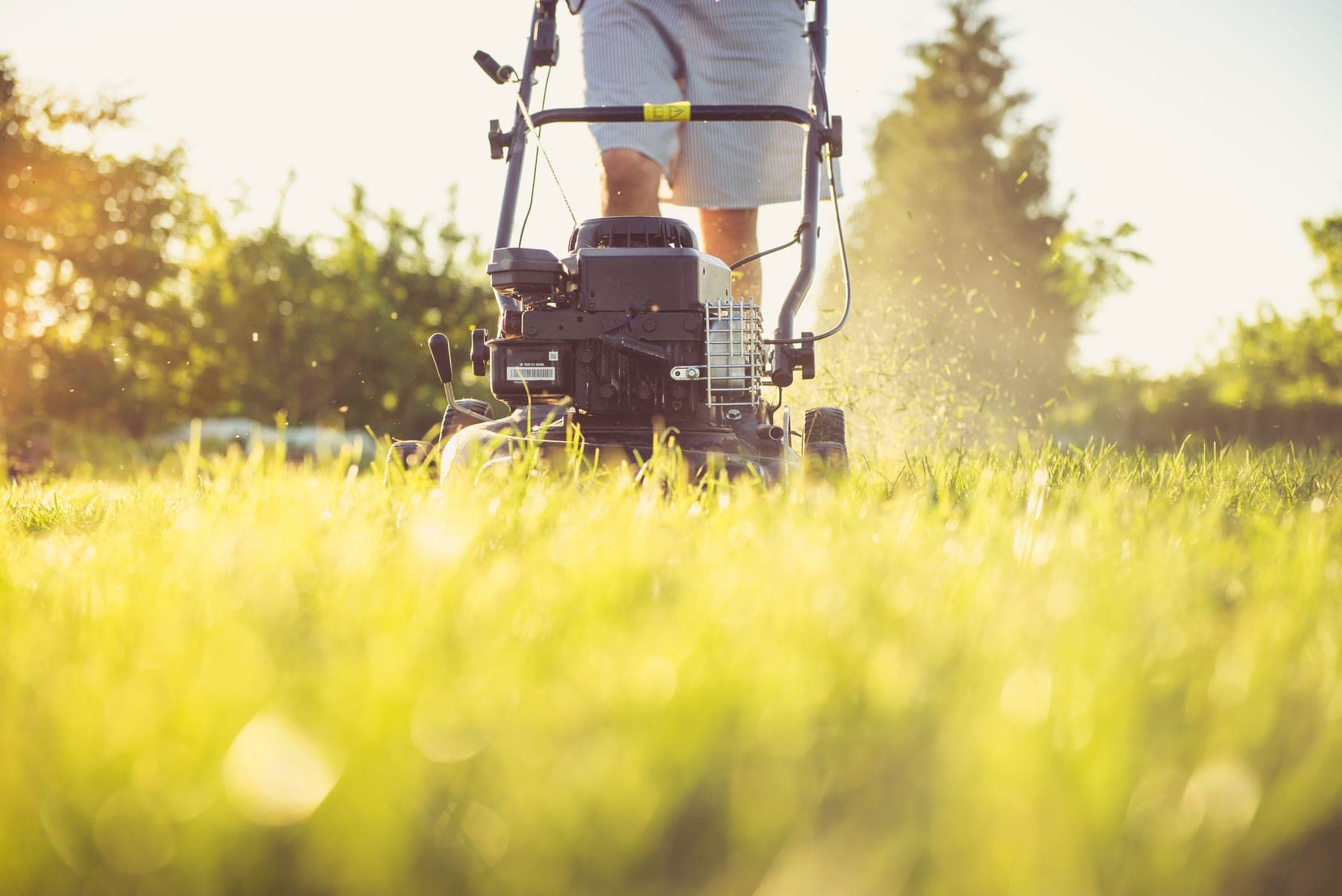 Mowing on a city common